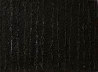 45.18x24" 2005.jpg