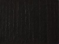 45.18x24" 2005.jpg