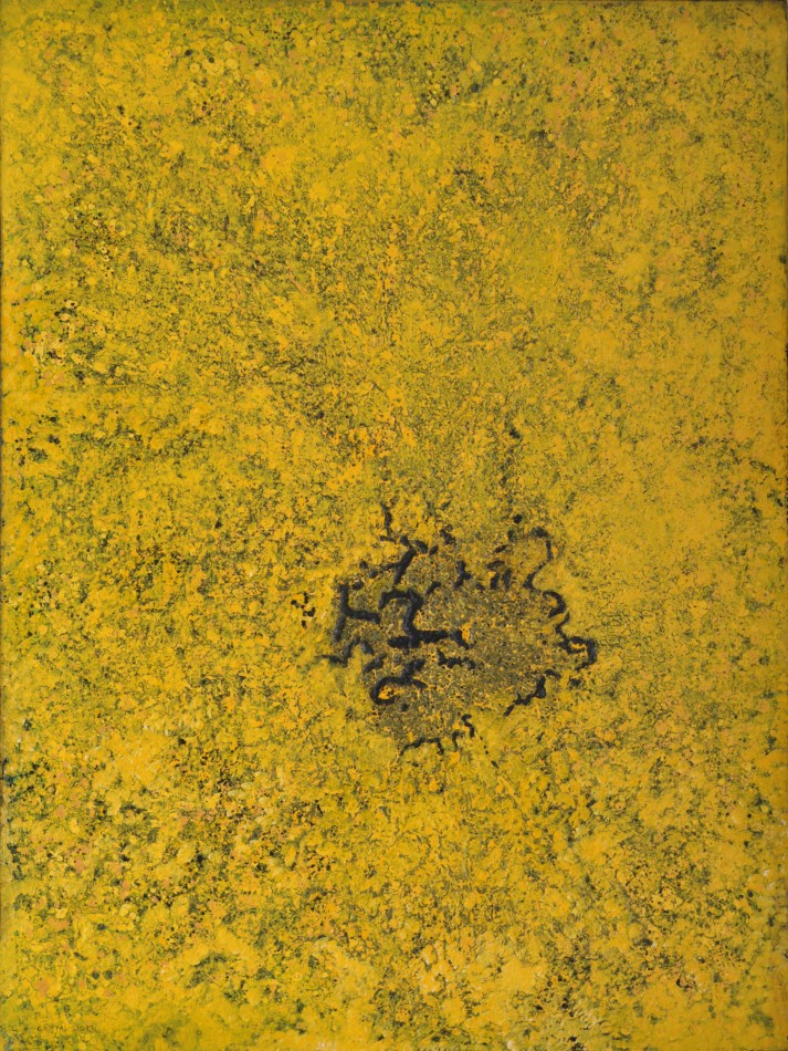 Landscapes-XXXXI-mixed-media-on-canvas-48x36-in-2013.JPG