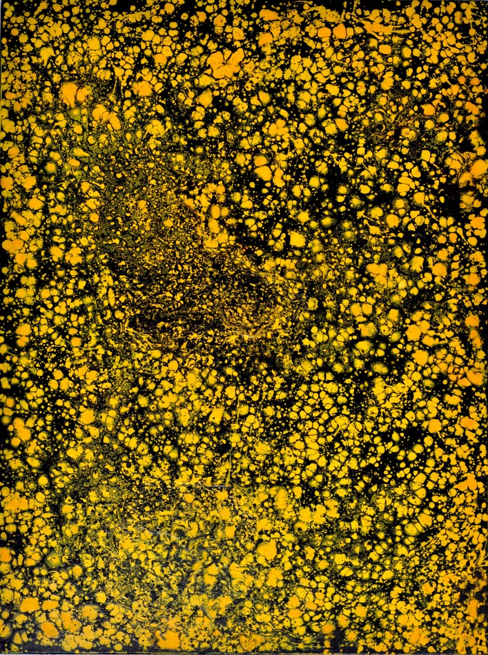 Landscapes-XXXIV-mixed-media-on-canvas-48x36-in-2013.JPG0009