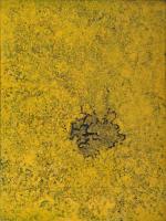 Landscapes-XXXXI-mixed-media-on-canvas-48x36-in-2013.JPG