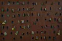 14.Cacoons Mixed Media Mango pits cotton strings on Canvas 40x60" Diptych 2010